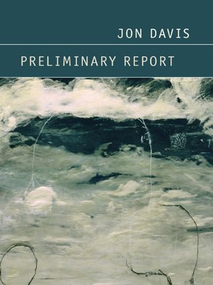 cover image of Preliminary Report